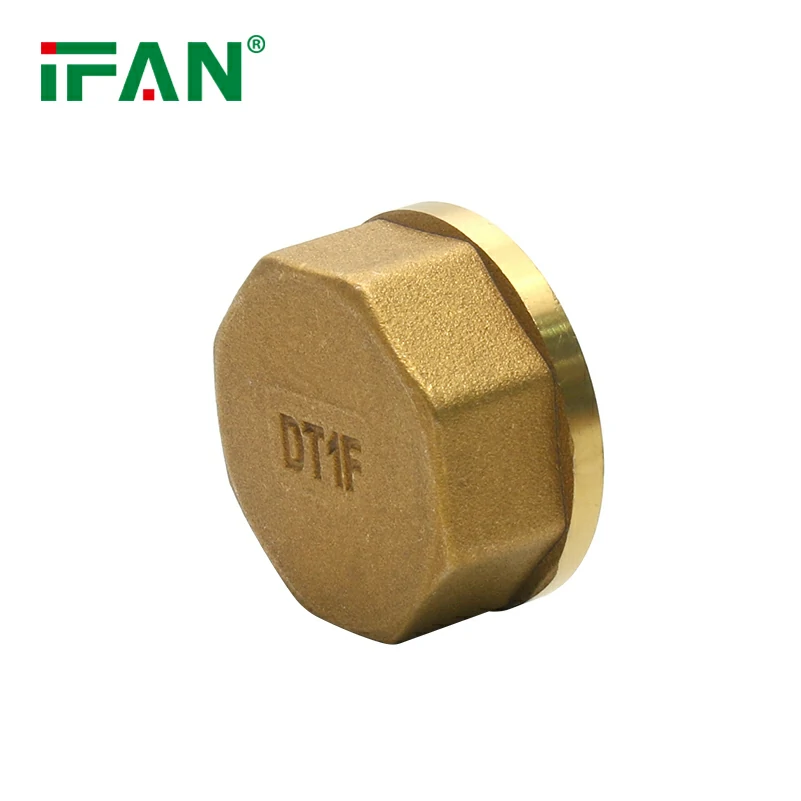 IFANPlus Brass Fitting End Cap